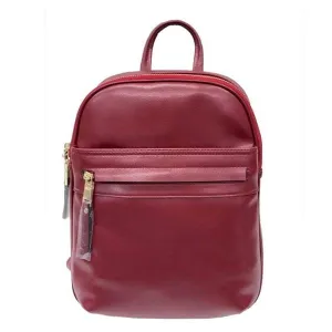 City Leather Backpack